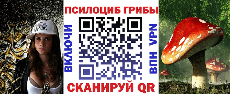 Псилоцибиновые грибы Psilocybe Бор